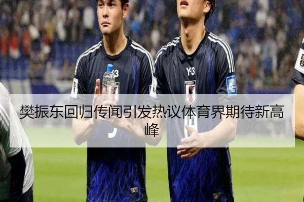 樊振东回归传闻引发热议体育界期待新高峰